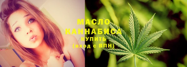 гашик Михайловск