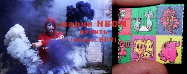 хмурый Мегион