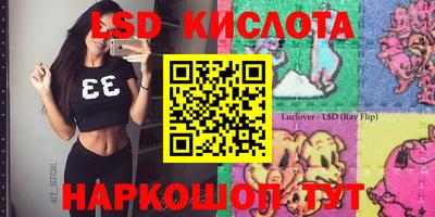 стаф Камышлов
