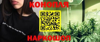 стаф Камышлов