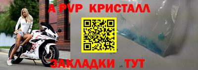 стаф Камышлов