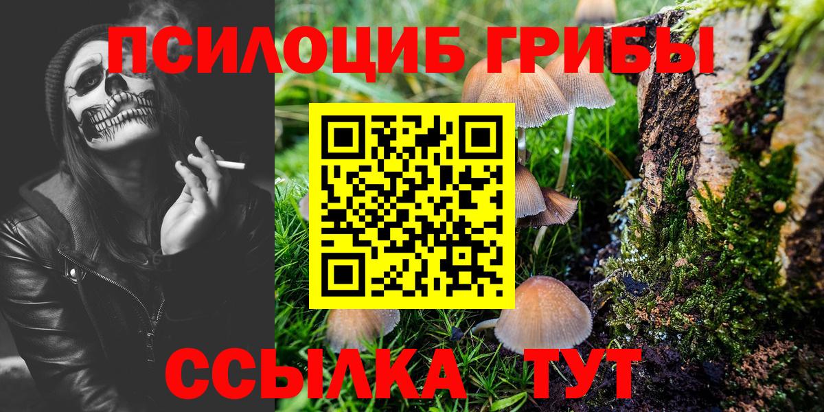 Псилоцибиновые грибы мицелий Коркино
