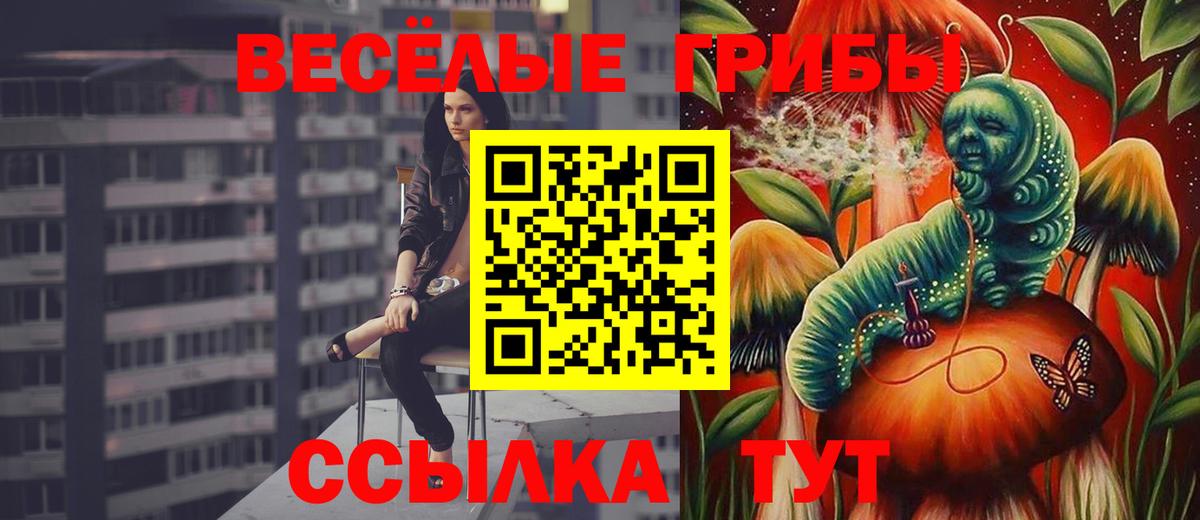 хочу наркоту  Псилоцибиновые грибы Psilocybe  Коркино  Галлюциногенные грибы мухоморы 