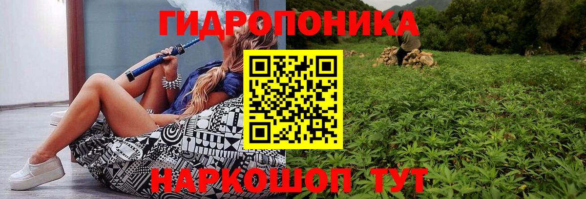 Бошки марихуана OG Kush  Канабис SATIVA & INDICA  Коркино  Канабис семена  Вход с VPN 
